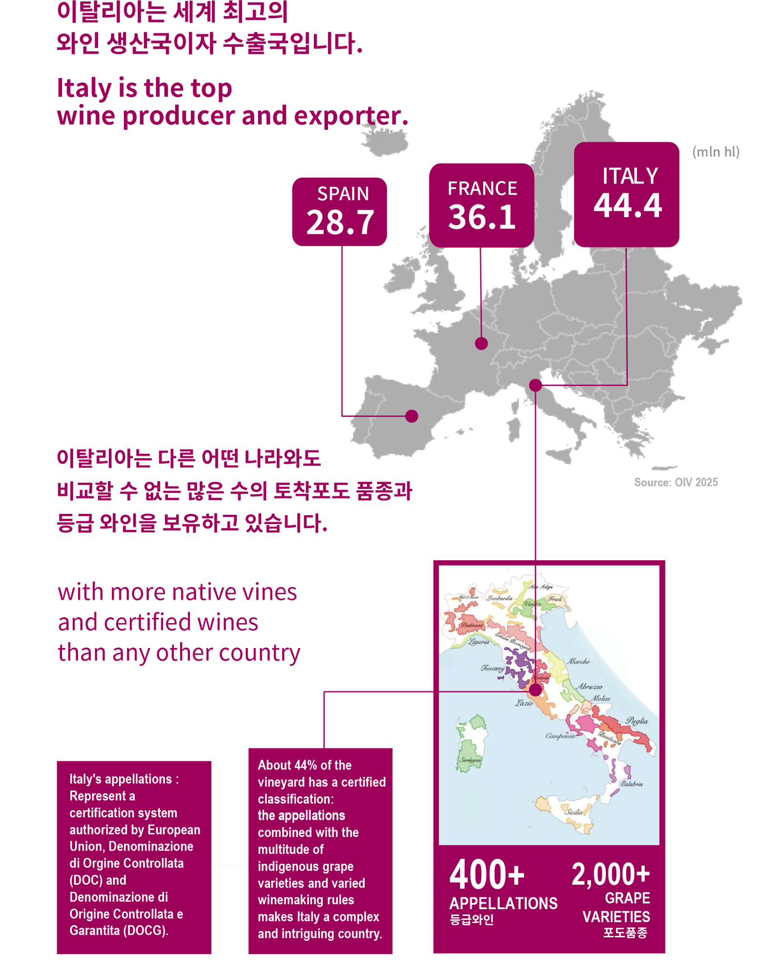 Italy is the top wine producer and exporter Infographic